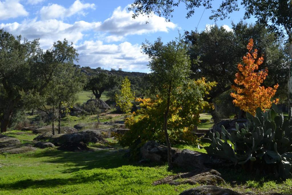 Finca El Cortinal Valencia de Alcántara Quarto foto